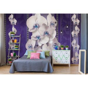 Fototapeta - Luxury Floral Design Orchids Purple III. Vliesová tapeta - 416x254 cm