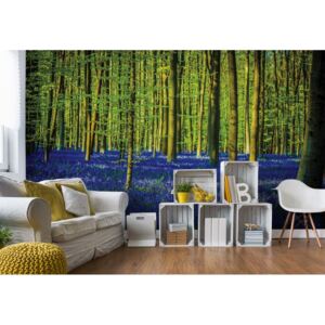 Fototapeta - Blue Forest Trees Vliesová tapeta - 254x184 cm
