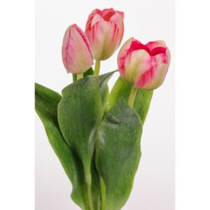 Animadecor Umělá květina - Tulipán žíhaný mix