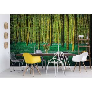 Fototapeta - Green Forest Trees Vliesová tapeta - 416x254 cm