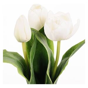 Animadecor Umělá květina - Tulipán bílý mix
