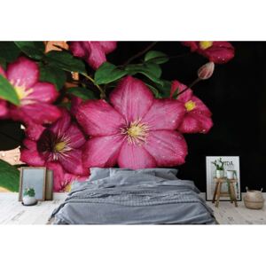 Fototapeta - Pink Flowers I. Vliesová tapeta - 416x254 cm