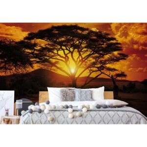 Fototapeta GLIX - African Sunrise + lepidlo ZDARMA Vliesová tapeta - 206x275 cm
