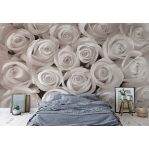 Fototapeta - Sepia Roses Vliesová tapeta - 416x254 cm