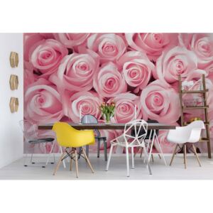 Fototapeta - Pink Roses Vliesová tapeta - 254x184 cm