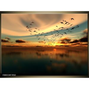 Obraz létajících ptáků (F000334F7050)