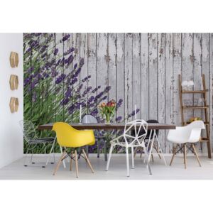 Fototapeta - Lavender Rustic Wood Planks Vintage Design Vliesová tapeta - 254x184 cm