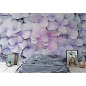 Fototapeta - Flowers Pastel Purple Hydrangeas Vliesová tapeta - 206x275 cm