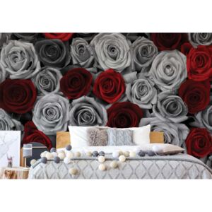 Fototapeta - Red Roses Black And White Vliesová tapeta - 368x254 cm