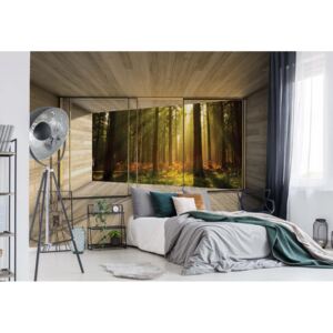 Fototapeta GLIX - Sunrise Forest 3D + lepidlo ZDARMA Vliesová tapeta - 254x184 cm