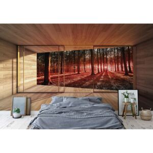 Fototapeta - Moderní okno s výhledem na les 3D Vliesová tapeta - 368x254 cm