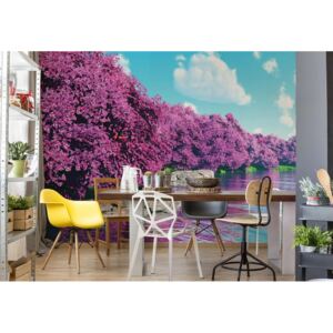 Fototapeta - Purple Blossom Trees Lake Calming Vliesová tapeta - 368x254 cm