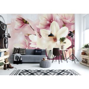 Fototapeta - Magnolia Flowers Pink II. Vliesová tapeta - 416x254 cm