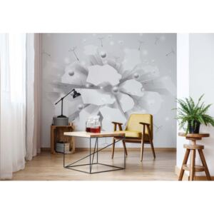 Fototapeta - 3D Blast White And Grey Vliesová tapeta - 254x184 cm