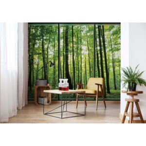 Fototapeta - Forest Trees Green Window View Vliesová tapeta - 416x254 cm