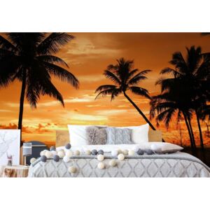Fototapeta - Beach Tropical Sunset Palms Vliesová tapeta - 208x146 cm