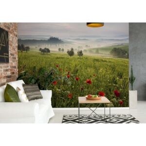 Fototapeta - Tuscan Spring Vliesová tapeta - 254x184 cm