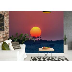 Fototapeta - Equatorial Sunset Vliesová tapeta - 254x184 cm