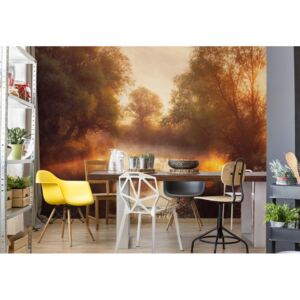 Fototapeta - When Nature Paints With Light Vliesová tapeta - 416x290 cm
