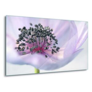 Obraz na skle GLIX - Delicate Petals 100x75 cm