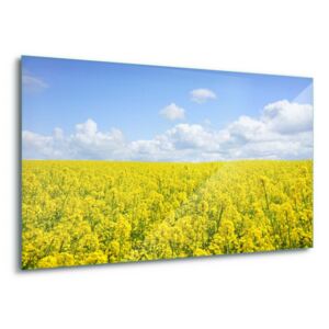 Skleněný obraz - Bright Fields 4 x 30x80 cm