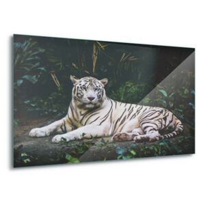 Obraz na skle GLIX - White Tiger 100x75 cm