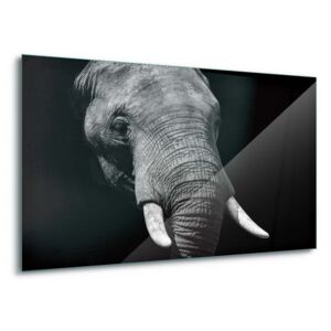 Skleněný obraz - Shades Of Grey 4 x 30x80 cm