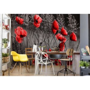 GLIX Fototapeta - Red Poppies Black And White Vliesová tapeta - 254x184 cm