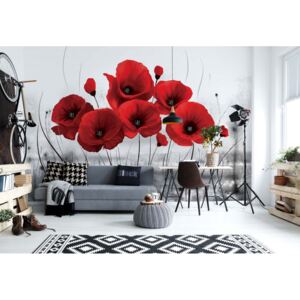 Fototapeta - Red Poppies Vliesová tapeta - 416x254 cm
