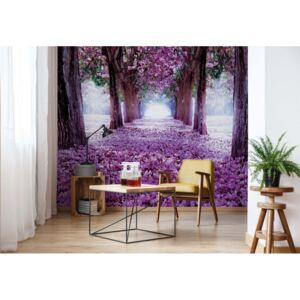 GLIX Fototapeta - Flowers Trees Path Purple Vliesová tapeta - 416x254 cm
