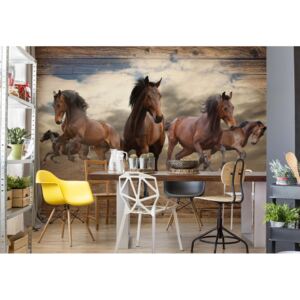 GLIX Fototapeta - Galloping Horses I. Vliesová tapeta - 208x146 cm