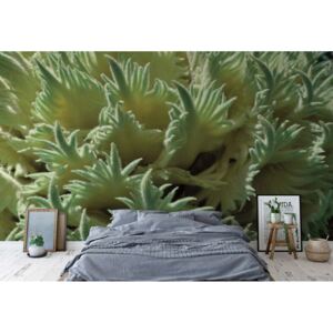 Fototapeta - Green Organic Texture Vliesová tapeta - 416x254 cm