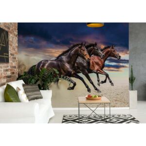 GLIX Fototapeta - Galloping Horses II. Vliesová tapeta - 368x254 cm