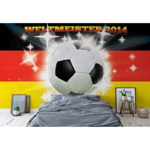 Fototapeta - Football Germany Weltmeister 2014 Vliesová tapeta - 254x184 cm