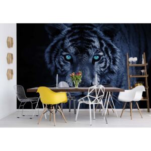 Fototapeta - Tiger Blue Vliesová tapeta - 416x254 cm