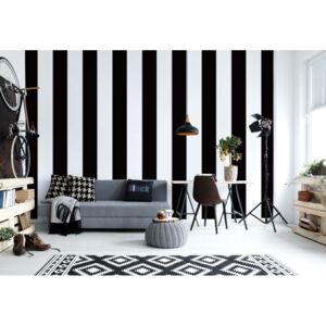 GLIX Fototapeta - Black And White Stripes Vliesová tapeta - 208x146 cm