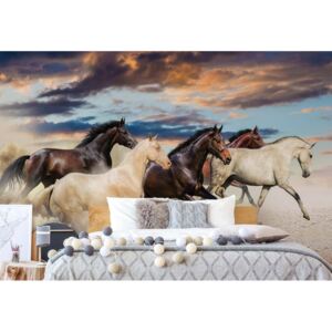 Fototapeta - Galloping Horses III. Vliesová tapeta - 254x184 cm