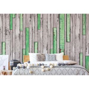 Fototapeta - Wood Planks Texture Green And Grey Vliesová tapeta - 254x184 cm