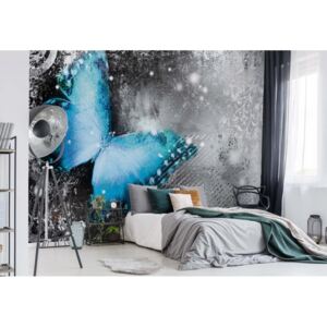 Fototapeta - Butterfly Blue And Grey Vliesová tapeta - 416x254 cm