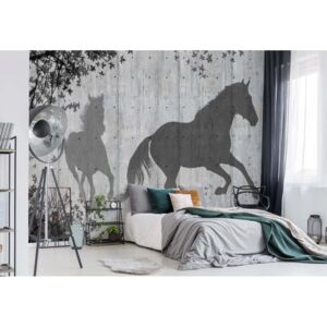 Fototapeta - Horses Silhouette Grey Vliesová tapeta - 520x318 cm