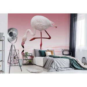 Fototapeta GLIX - Flamingo + lepidlo ZDARMA Vliesová tapeta - 368x254 cm