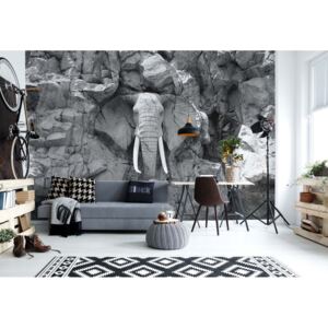 GLIX Fototapeta - Stone Elephant Black And White Vliesová tapeta - 368x254 cm