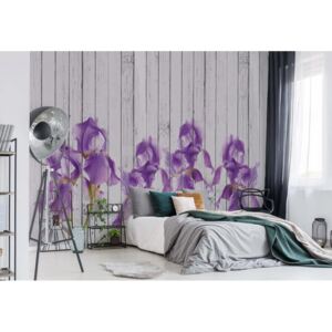 Fototapeta - Wood Planks And Purple Flowers Vintage Chic Vliesová tapeta - 312x219 cm