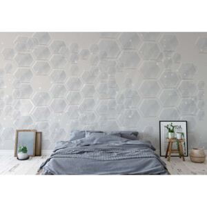 GLIX Fototapeta - Modern 3D Grey Hexagonal Pattern Vliesová tapeta - 520x318 cm
