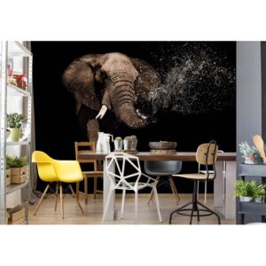 GLIX Fototapeta - Elephant II. Vliesová tapeta - 254x184 cm