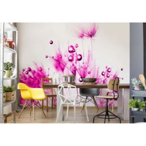 GLIX Fototapeta - Modern Dandelion Pink And White Vliesová tapeta - 416x254 cm