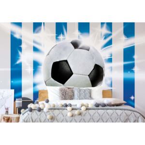Fototapeta - Football Blue And White Stripes Vliesová tapeta - 368x254 cm