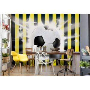 Fototapeta - Football Yellow And Black Stripes Vliesová tapeta - 368x254 cm
