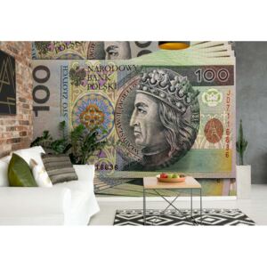 GLIX Fototapeta - Polish Banknote Vliesová tapeta - 312x219 cm