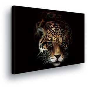 GLIX Obraz na plátně - Gepardí Hlava 40x40 cm